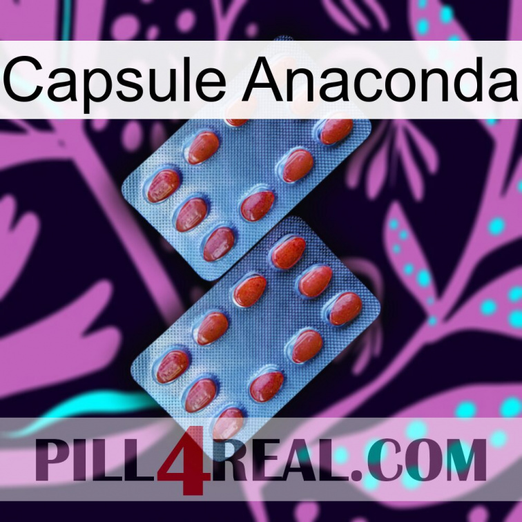 Anaconda Capsule 05